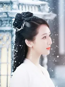 综影视：女配她大杀四方