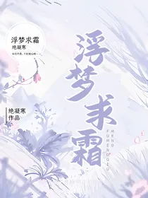浮梦求霜