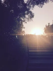 斗龙短篇故事合集