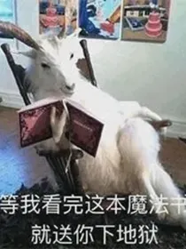 升佛日常