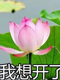 6姐厉险记