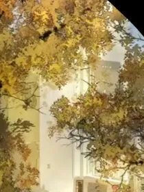 极愿