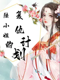 陆小姐的复仇计划
