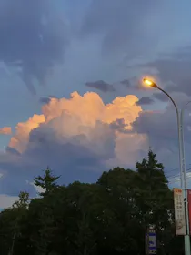 温风吹入林