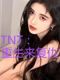 TNT：重生来复仇