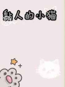 黏人的小猫