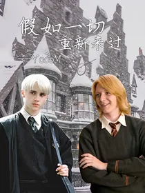 HP：假如一切重新来过