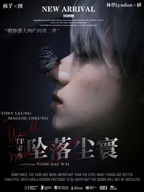 TF三代：坠落尘寰