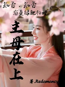 知否知否应是绿肥红瘦：主母在上