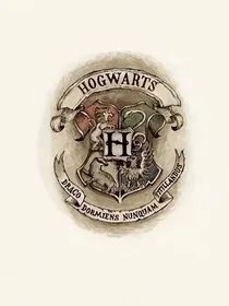 hp亲世代：格兰芬多的扣分狂
