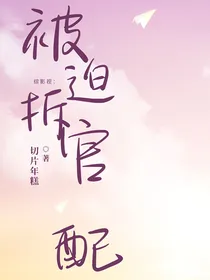 综影视：被迫拆官配