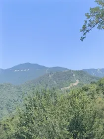 助理伊娜