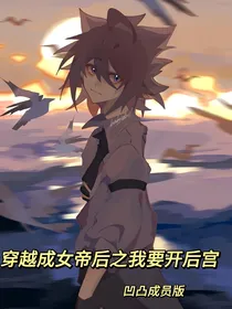 穿越成女帝后之我要开后宫（凹凸成员版）