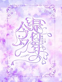 星念的封面铺子