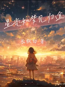 星光如梦见归途