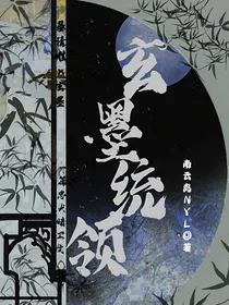 玄墨统领
