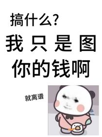 搞什么？我只是图你的钱啊