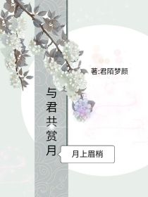 与君共赏月——月上眉梢