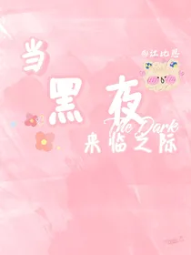 名柯：当黑夜来临之际