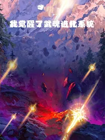 我觉醒了武魂进化系统