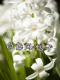 斗龙：白色风信子