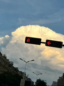 关于查九的日常小剧场