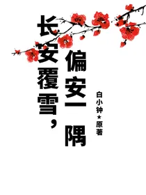 长安覆雪，偏安一隅