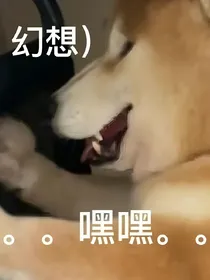 狼王殿下：溺宠狐仙妻