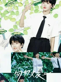 TF家族四代：匆匆又夏