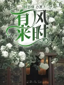 有风来时