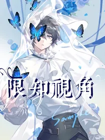 限知视角
