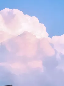 ALL霖：穿越兽世，谈个恋爱玩玩