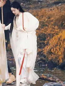 三生三世十里桃花盗版