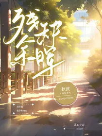 残缺余晖