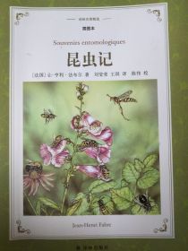 昆虫记（八年级上册语文必读书目）