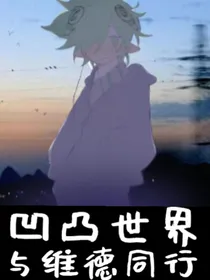 凹凸世界与维德同行
