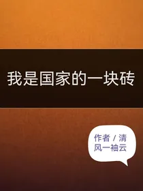 我是国家的一块砖