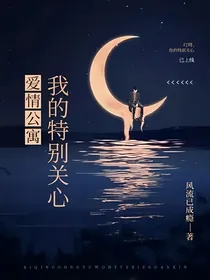 爱情公寓：我的特别关心