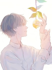 快穿之我要换系统