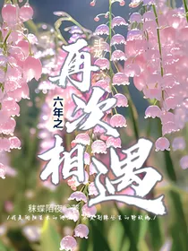 斗龙：六年之再次相遇