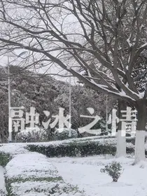 融冰之情