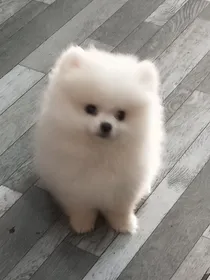 误入恐怖游戏0
