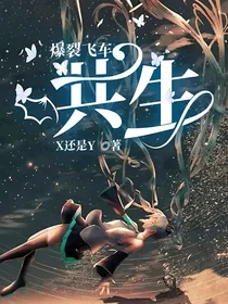 爆裂飞车：共生
