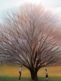 杏花树下的你
