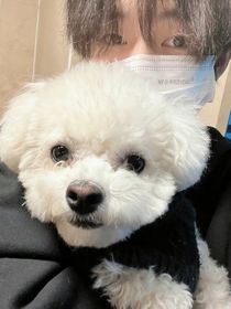nctdream我的i人助理