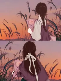 纯洁的百合花