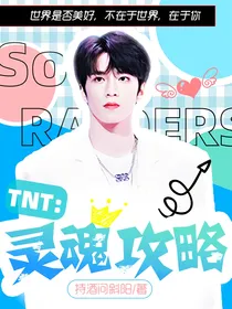 TNT：灵魂攻略