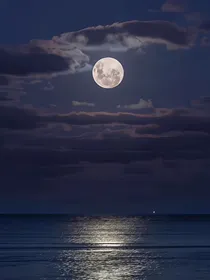 浮光与望舒