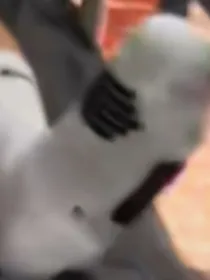体育生欺负我