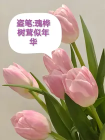 盗笔：瑰桦树茸似年华